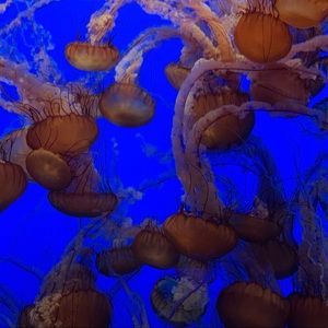 Meet your Posher, Danny